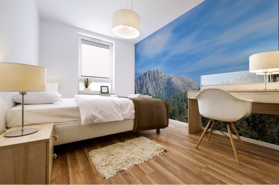 Senic Mural print