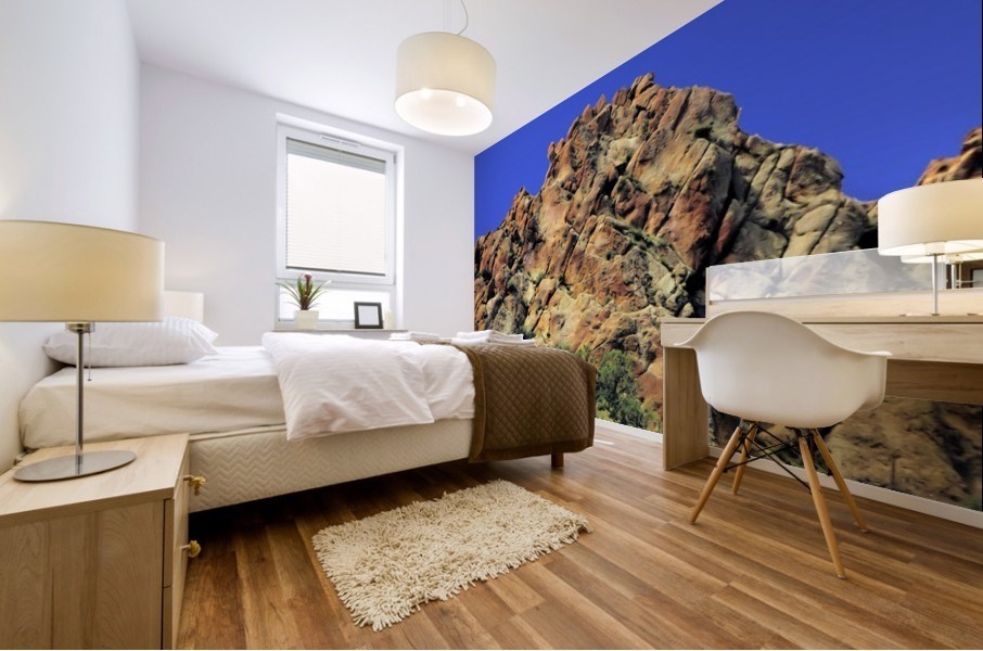 Another Rock Hill  Mural print