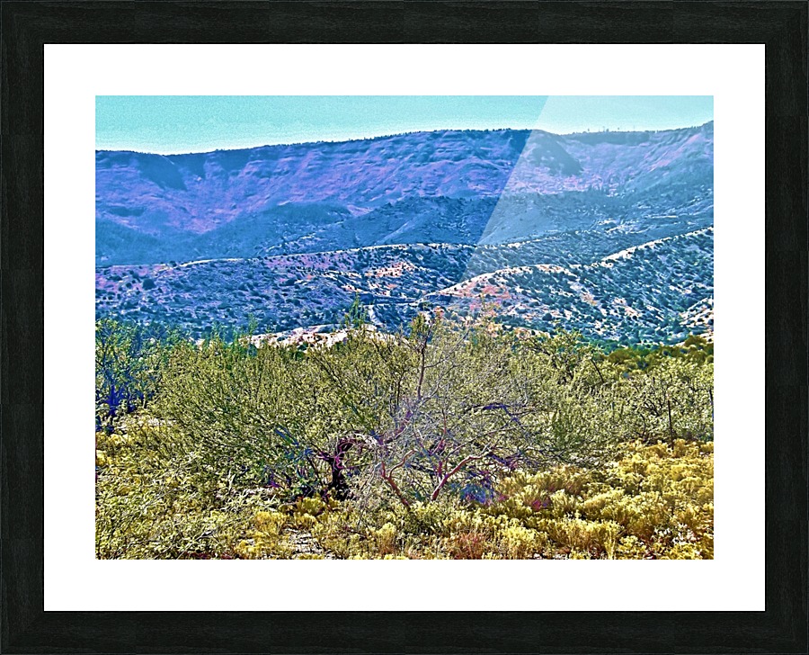 Jerome-2 Picture Frame print