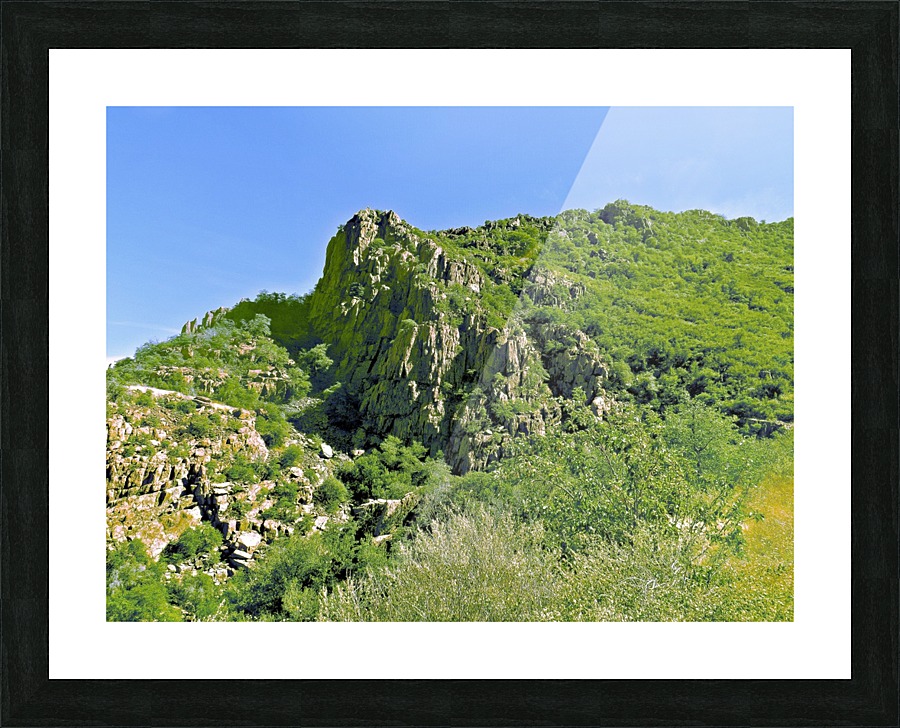 Jerome-3 Picture Frame print
