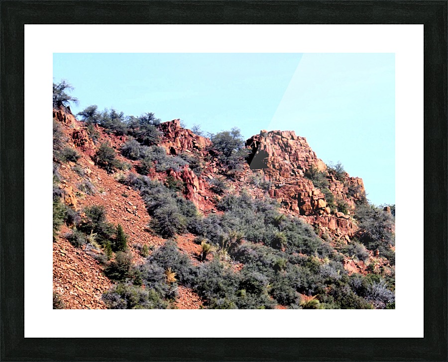 Jerome-6 Picture Frame print