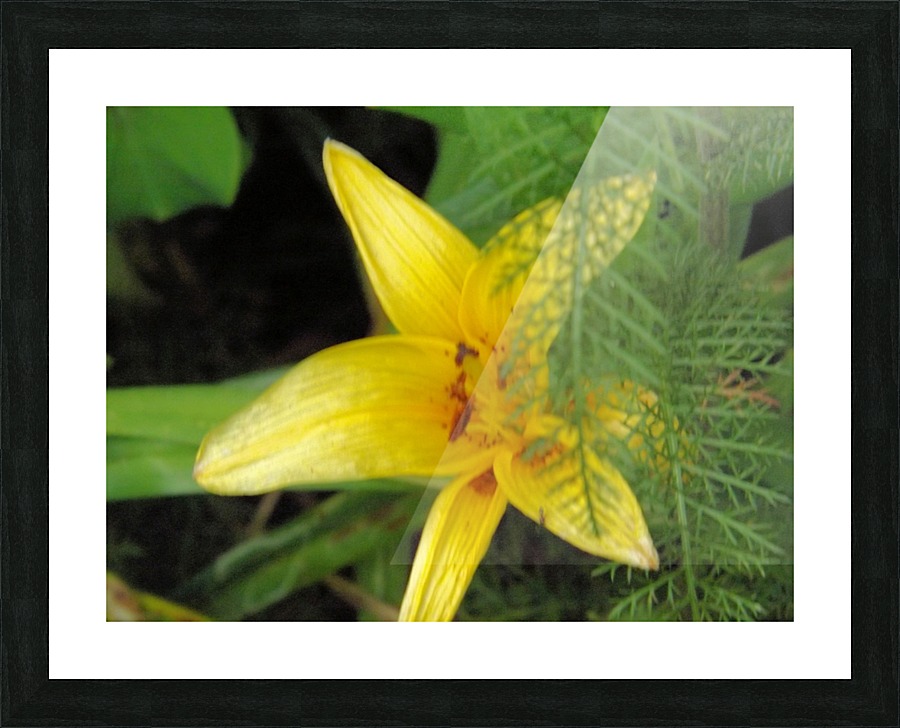 Yellow Flower-2 Picture Frame print
