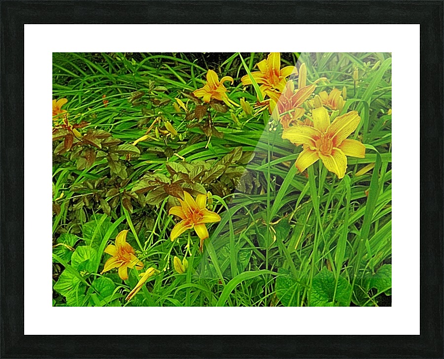 Yellow Flower-1 Picture Frame print