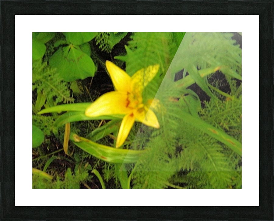 Yellow Flower Picture Frame print