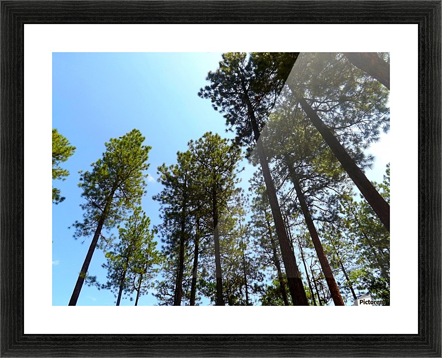 Blue Sky Picture Frame print