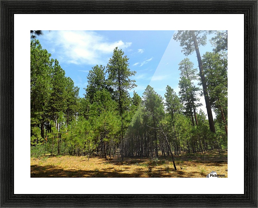 Deep In Picture Frame print
