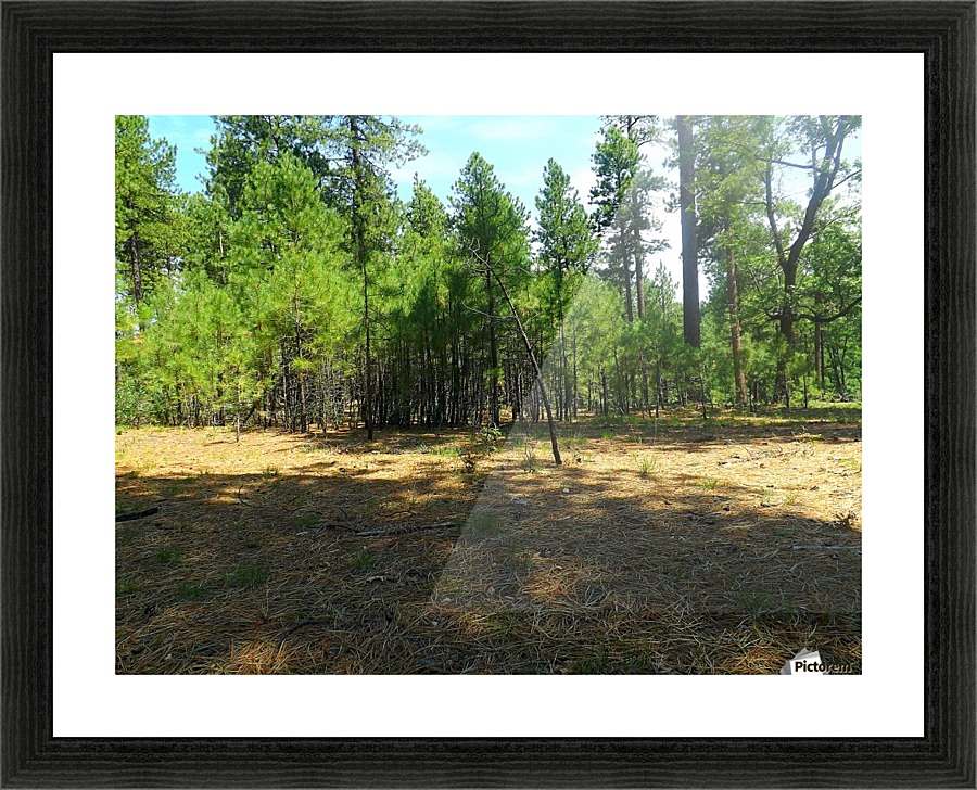 Deeper In Picture Frame print