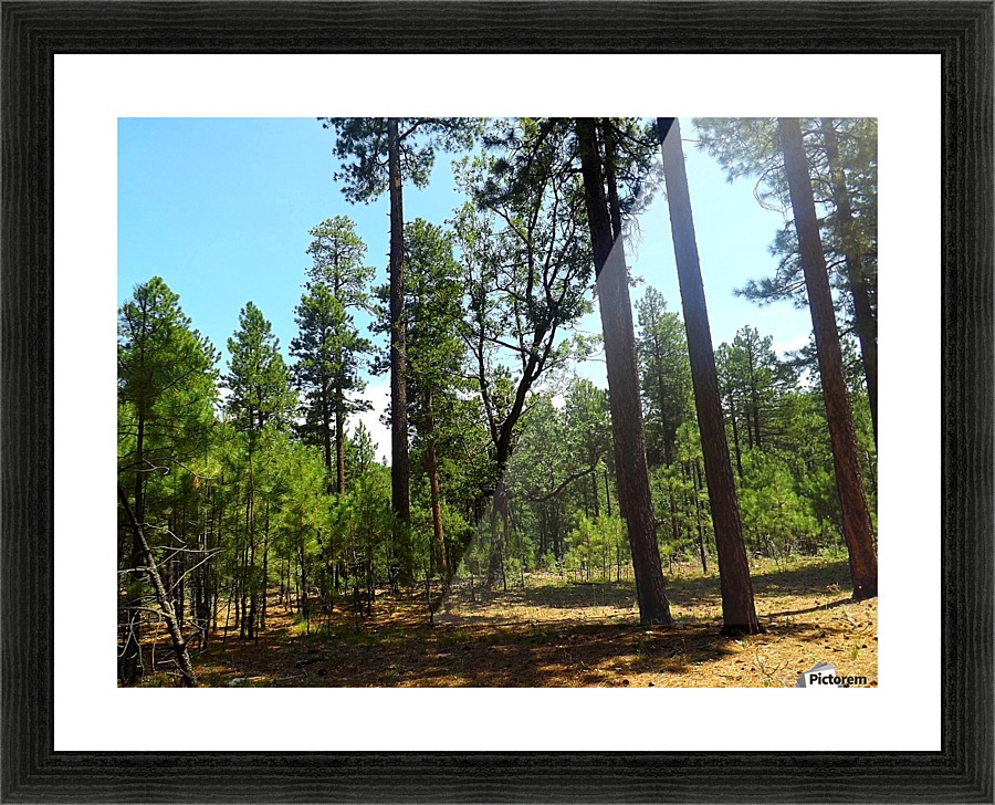 From A Differet Place Picture Frame print