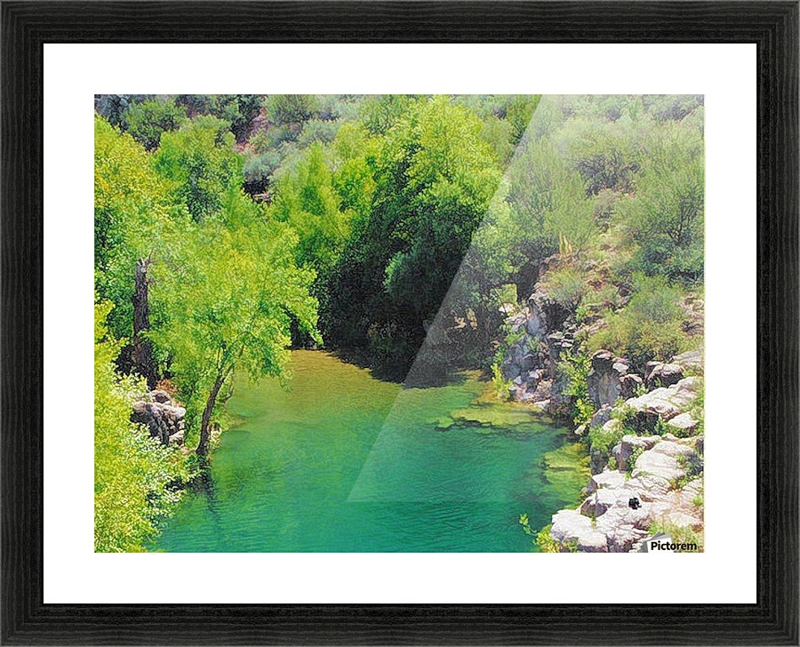 Pond Picture Frame print