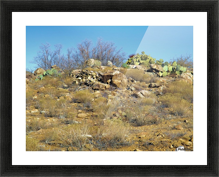 Rock n Cactus Picture Frame print