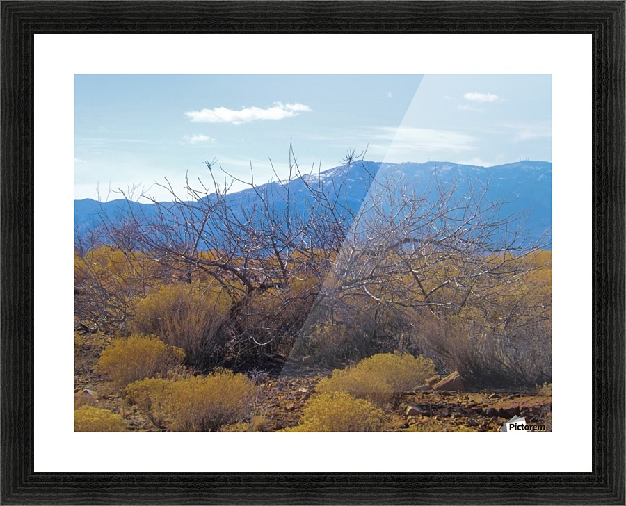 Weeds Picture Frame print