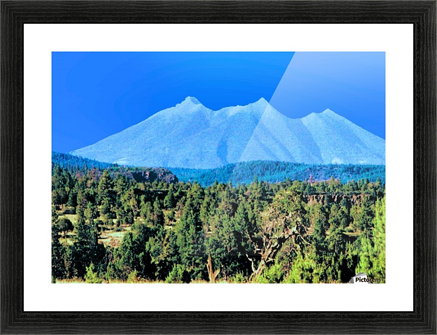 Something Different Picture Frame print