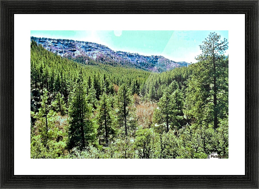 Senic  Picture Frame print