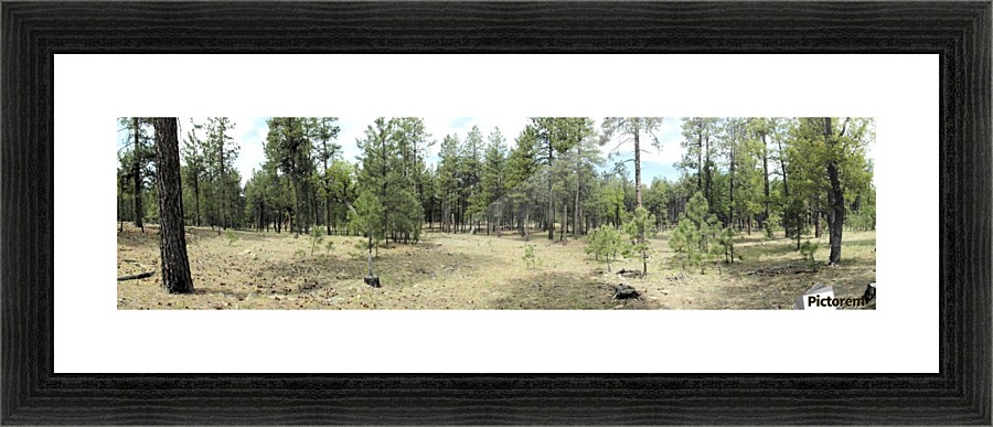 Peace and Quiet Picture Frame print