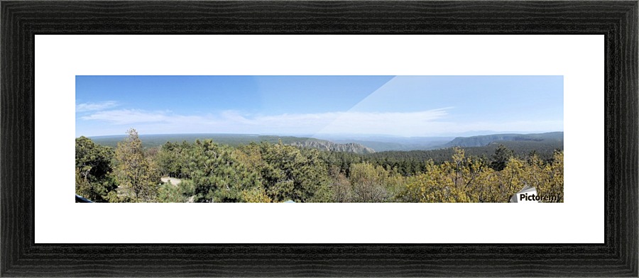 From the Forest Picture Frame print