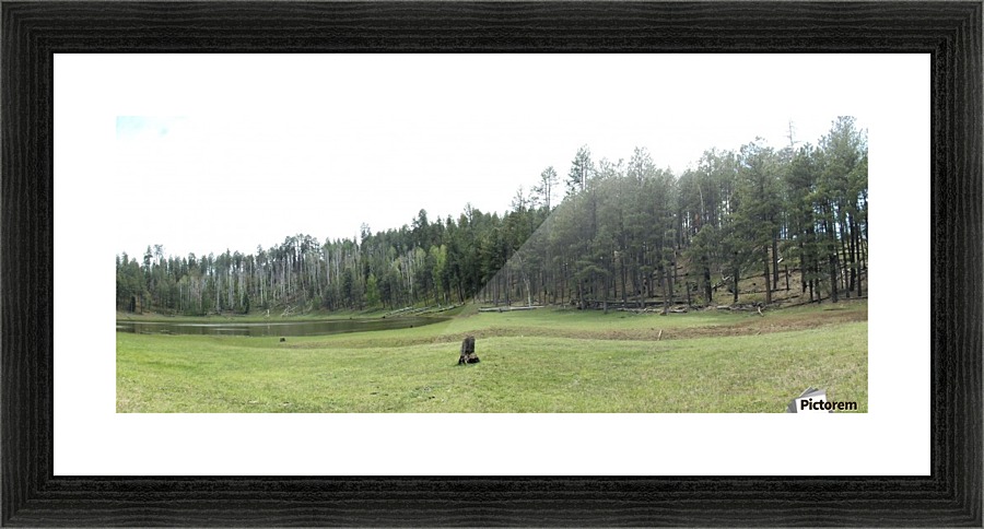 Peaceful Picture Frame print