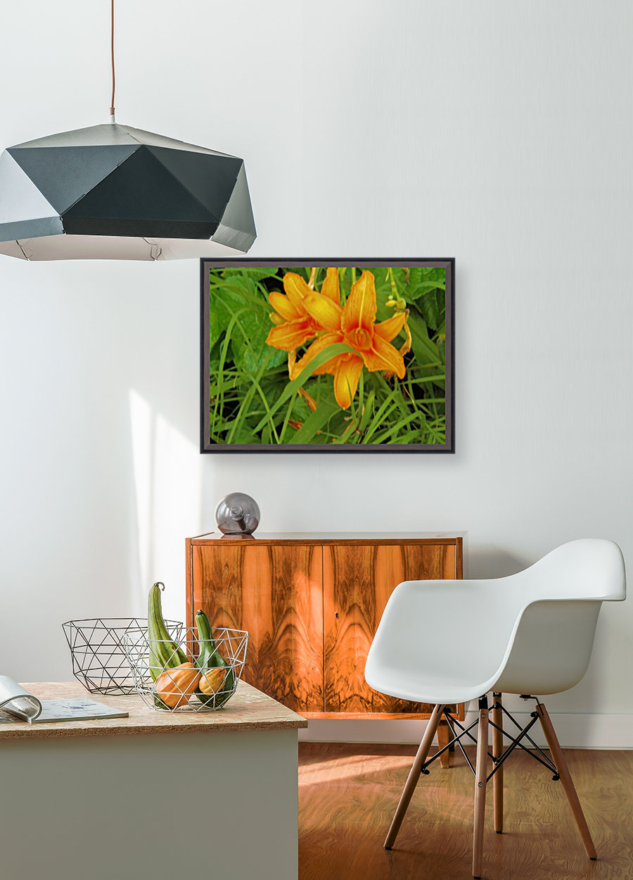 Oranger Lilly 2 Reproduction