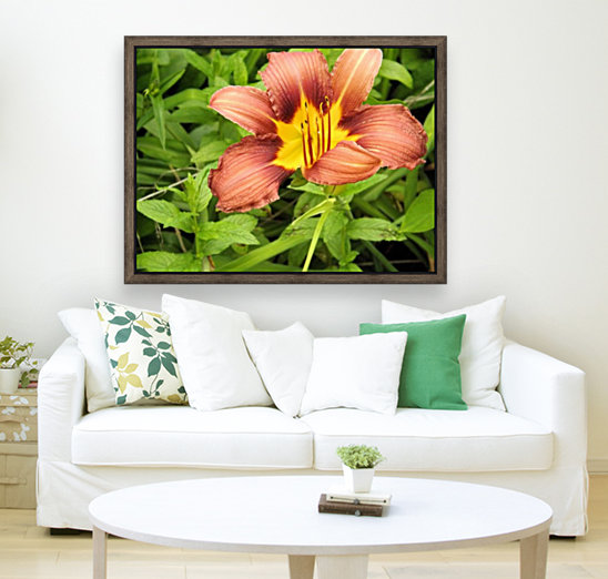 Oranger Lilly 3 Reproduction