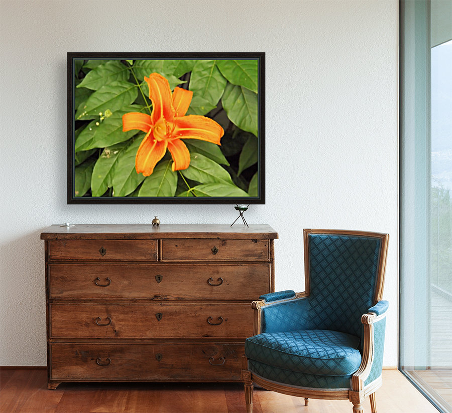 Orange Lilly 1 Reproduction