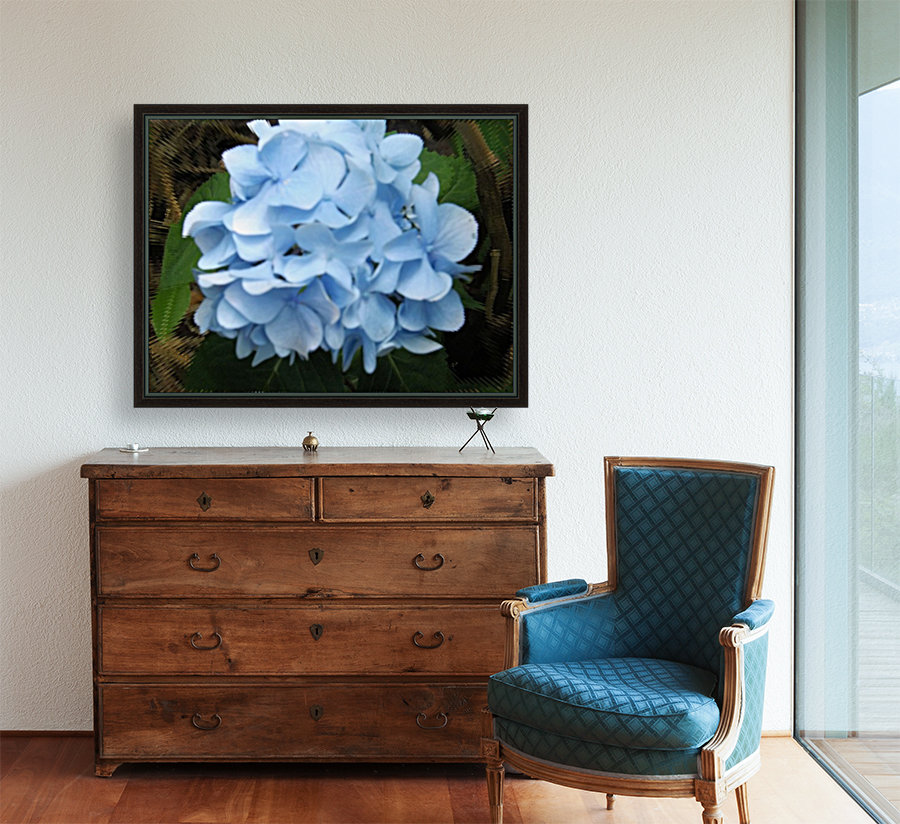 Hydrangea Reproduction