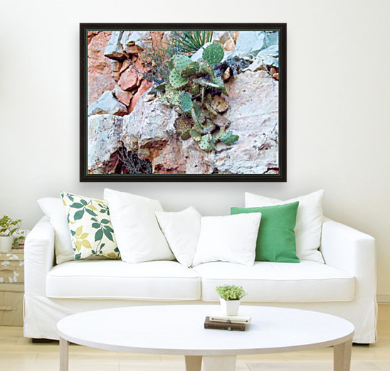 Cactus Reproduction