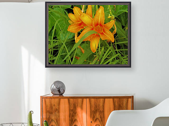 Oranger Lilly 2 Reproduction
