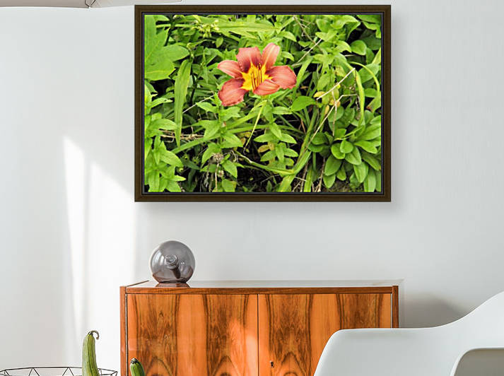 Oranger Lilly 4 by Arizona Photos by Jym