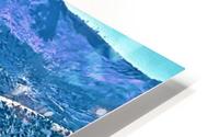 Jerome-2 HD Metal print