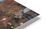 Montezuma's Castle-13 HD Metal print