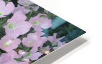Flower Garden 2 HD Metal print