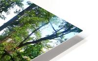 Deeper In HD Metal print