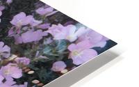 Flower Garden HD Metal print