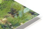 Pond HD Metal print