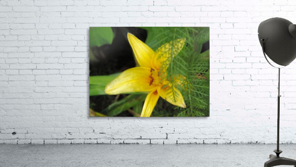 Yellow Flower-2 Wall Preview