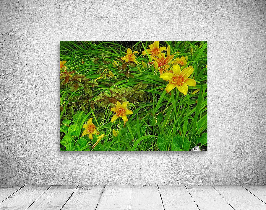 Yellow Flower-1 Wall Preview