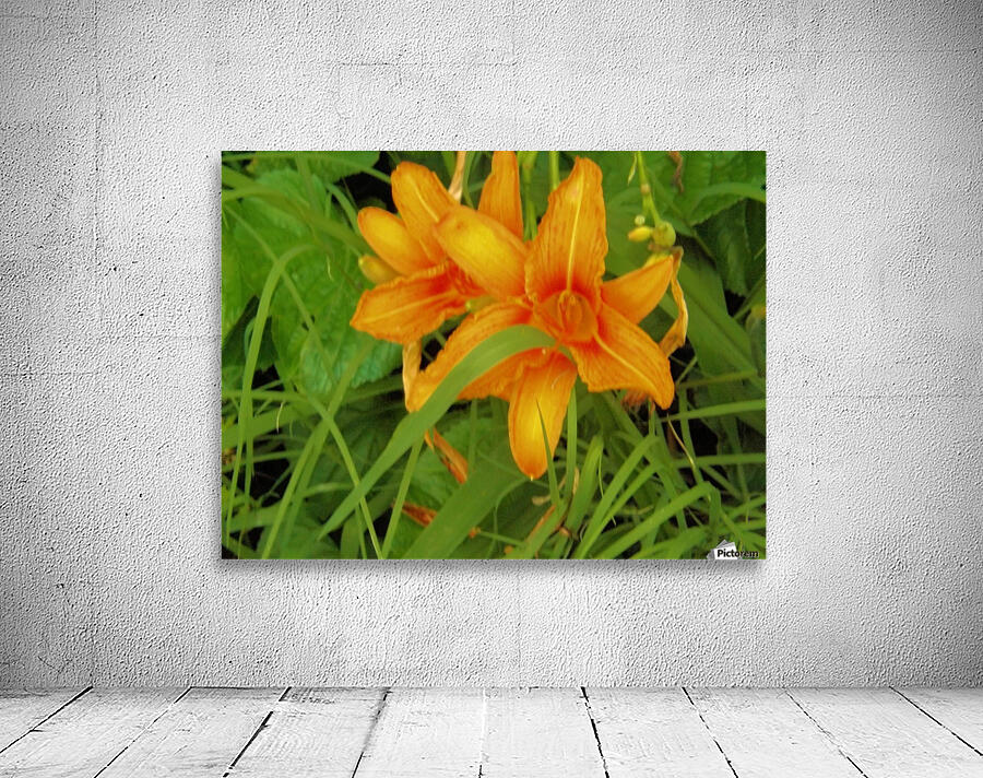 Oranger Lilly 2 Wall Preview