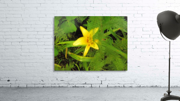 Yellow Flower Wall Preview