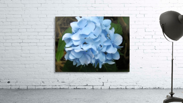 Hydrangea Wall Preview