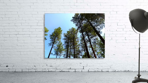 Blue Sky Wall Preview
