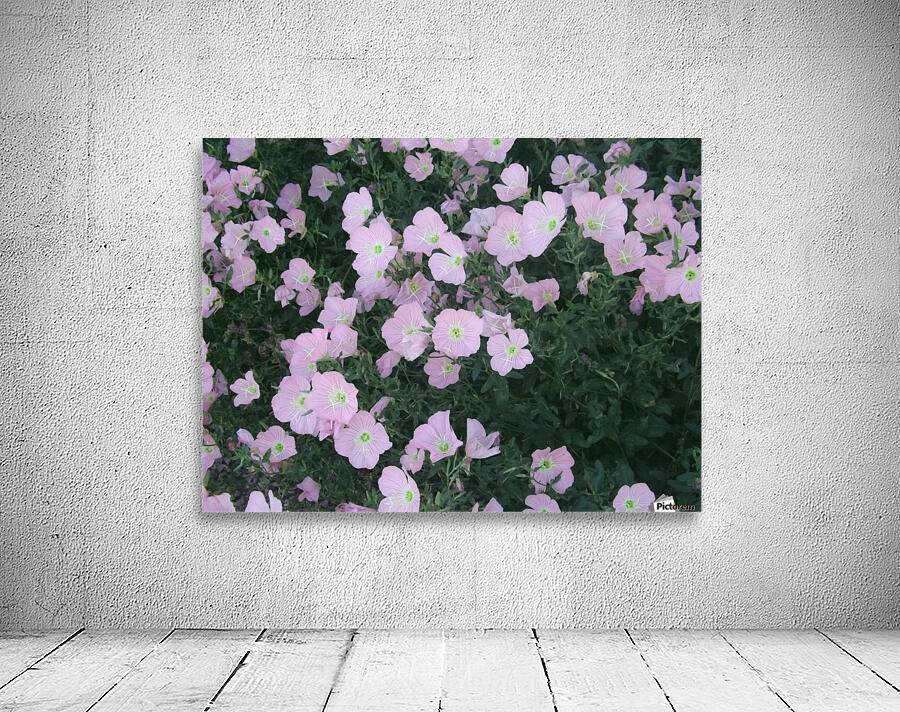Flower Garden 2 Wall Preview