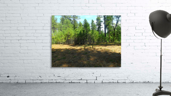 Deeper In Wall Preview
