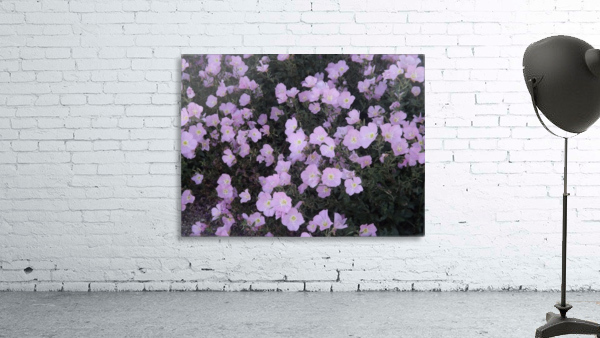 Flower Garden Wall Preview
