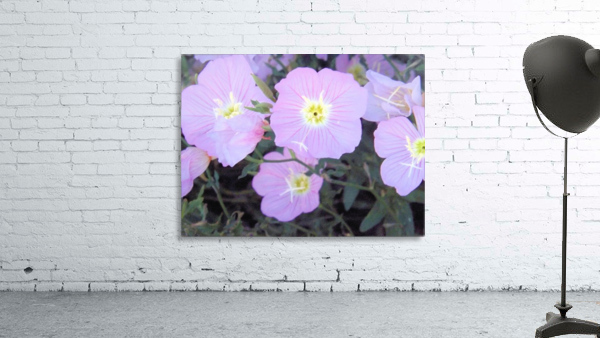 Flowers Wall Preview