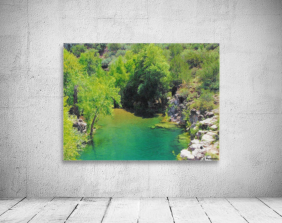 Pond Wall Preview