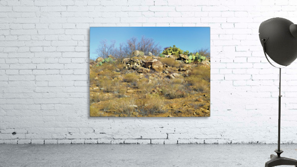 Rock n Cactus Wall Preview