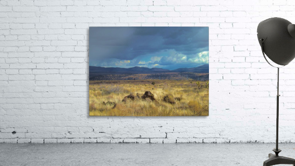 Storms Comin' Wall Preview