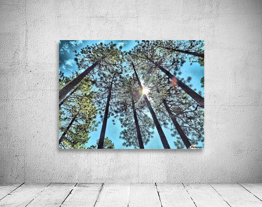 Tree Tops Wall Preview