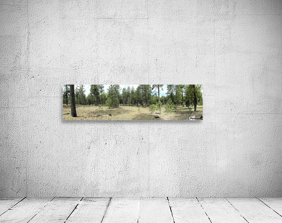 Peace and Quiet Wall Preview