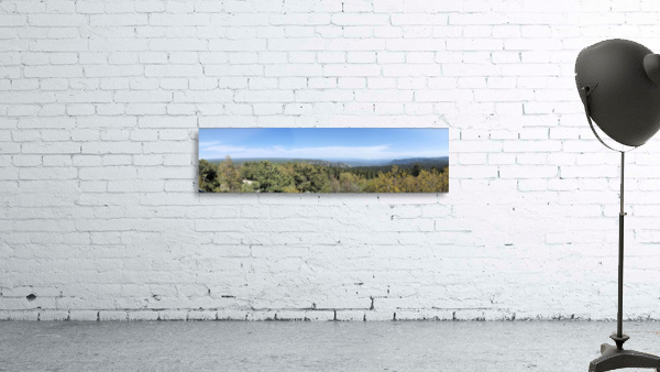 From the Forest Wall Preview