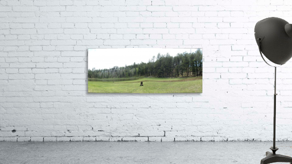 Peaceful Wall Preview